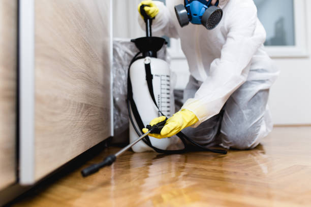 Reliable Murfreesboro, NC Pest Control Solutions