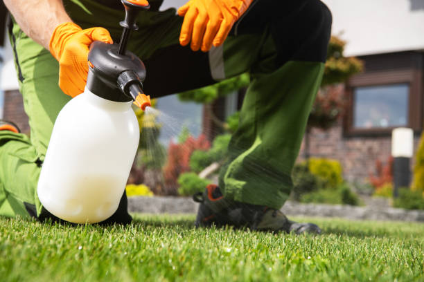 Flea Control Services in Murfreesboro, NC
