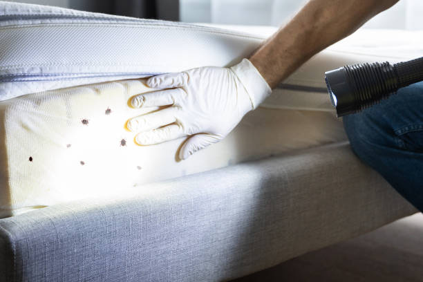 Best Pest Prevention Services  in Murfreesboro, NC